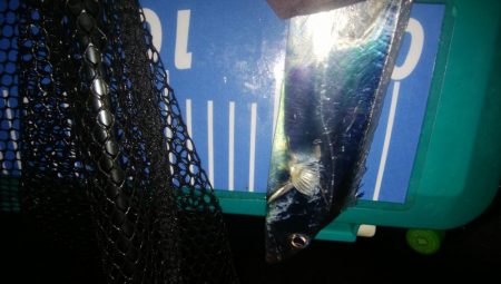 なかなか上げれない！