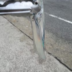 台風後のタチウオ探して