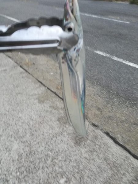 台風後のタチウオ探して