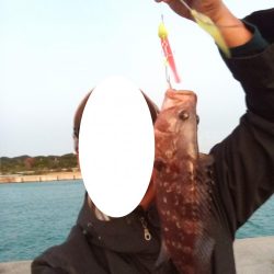 太刀魚は釣れなかったけれど