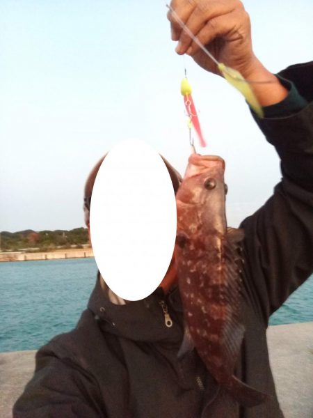 太刀魚は釣れなかったけれど