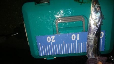 ワインドとアジング