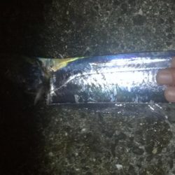 ひさびさのタッチー