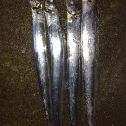 今季自己記録更新