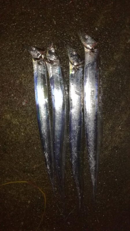 今季自己記録更新