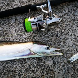 やっぱり釣れるジャックアイグロッキー