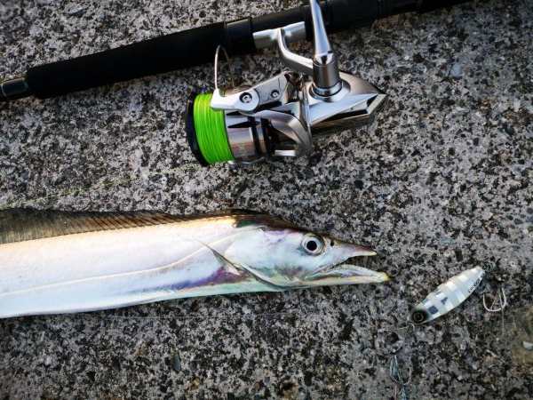 やっぱり釣れるジャックアイグロッキー