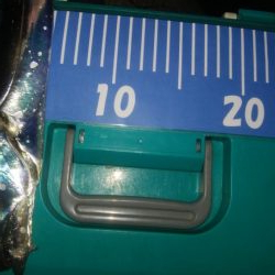 ワインドとアジング