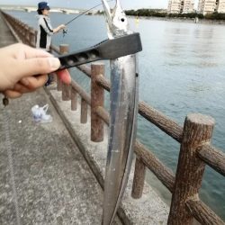 いい釣りでした