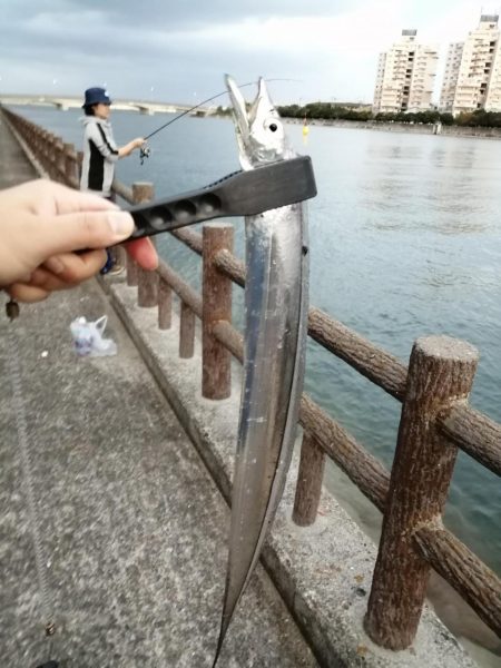 いい釣りでした