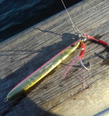 ハマチはどこへ?