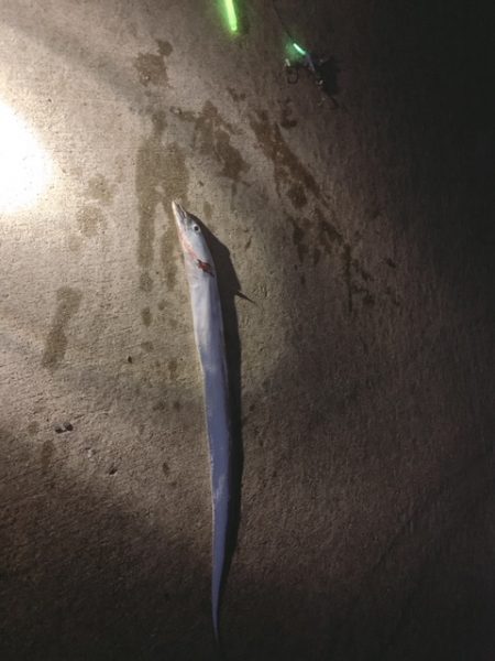 現着、急ぎの一投目からヒットも日本シリーズ…