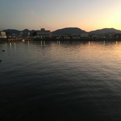 アジ12匹、メッキ1匹