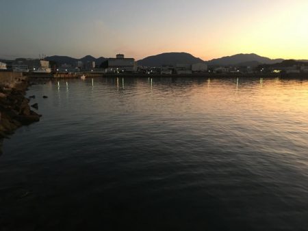 アジ12匹、メッキ1匹