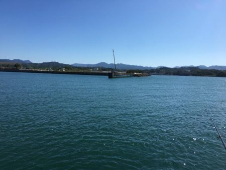 スズキ55㎝、アジ大漁