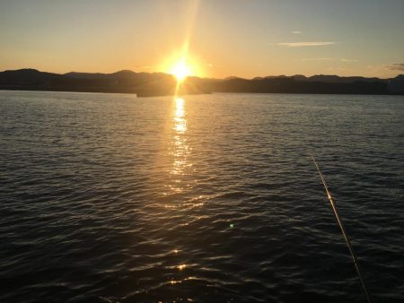 アジ24匹（~26㎝）、ボラ、ガシラ