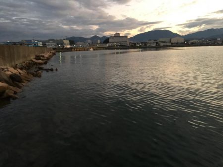 アジ、セイゴ、サバ、タイ