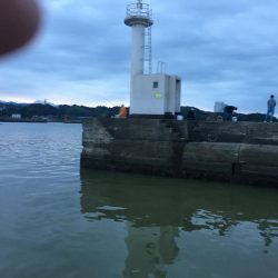 アジ78匹、ボラ1匹（50㎝）