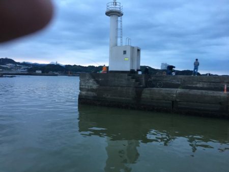 アジ78匹、ボラ1匹（50㎝）