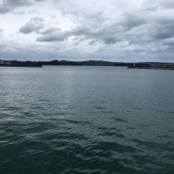 25㎝含むアジ6匹