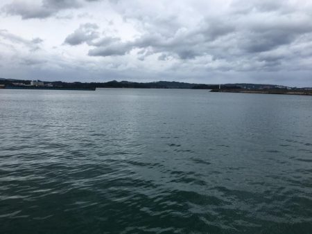 25㎝含むアジ6匹