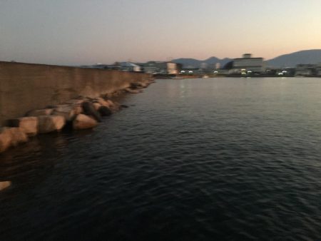 中型アジ13匹（最大27㎝）、コアジ26匹、ヘダイ26㎝1匹