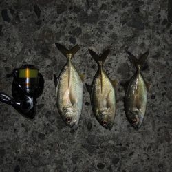 秋のエビ撒き釣り　ハネの気配は無し