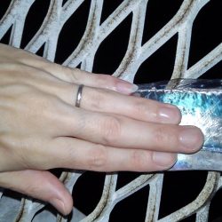 ドラゴン出ました！タチウオ釣行