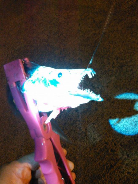 アジング、タチウオ