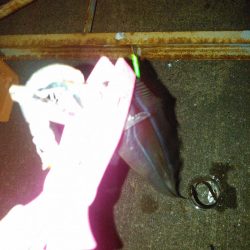 タチウオテンヤ