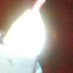 アジング、タチウオ