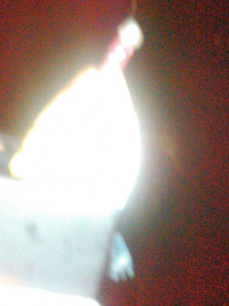 アジング、タチウオ