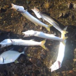 もう浮気はしませんm(._.)m