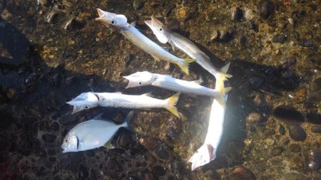 もう浮気はしませんm(._.)m