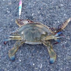 うわさ通り(・_・?)