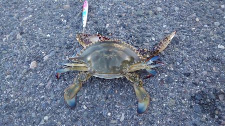 うわさ通り(・_・?)