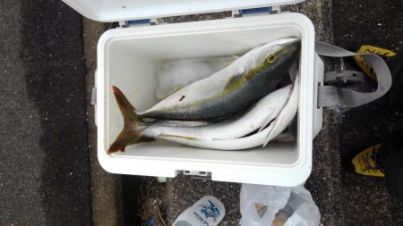 ミノーで一撃！