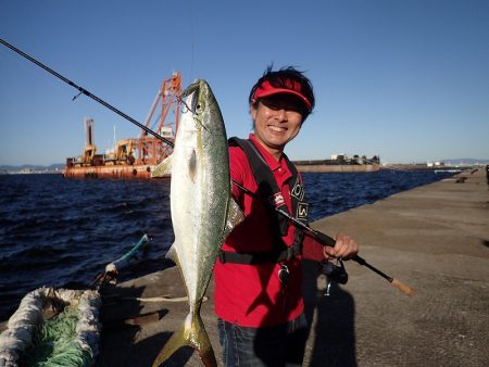 夕方の青物ラッシュ(^^)