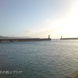 ファミリーでサビキ釣り