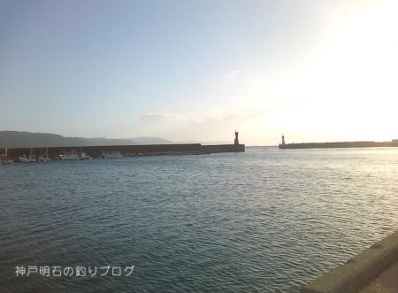 ファミリーでサビキ釣り