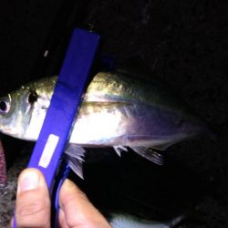 尺には届かんか…