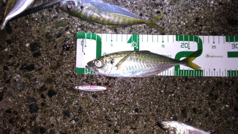 脂ノリノリアジ