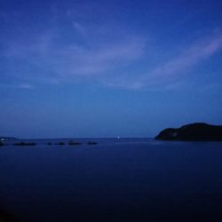 飲ませ釣りで…