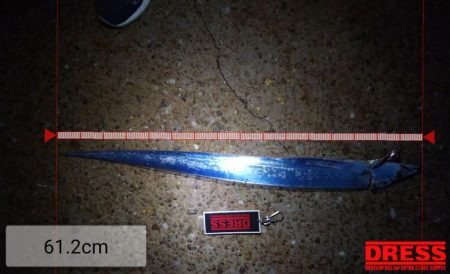 湾奥の青物調査＆タモウオ