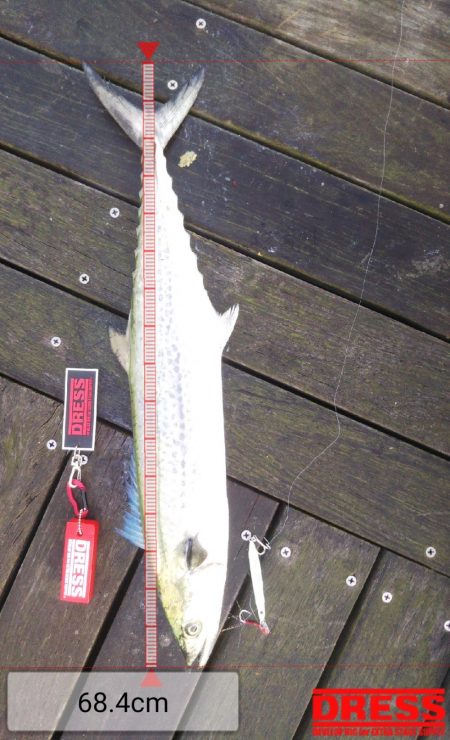 コスモまだ行けるやん!