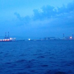 ようやく仕事帰りに太刀魚ゲット!