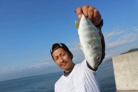 雨から逃げて淡路島