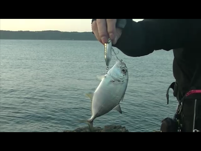 北西爆風の南紀でエギングとショアジギング
