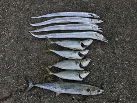 和田坊しか行けなくて