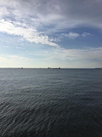 沖堤防でショアジギング